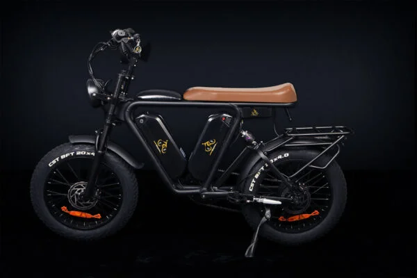 EE2 - SPORT - Image 2