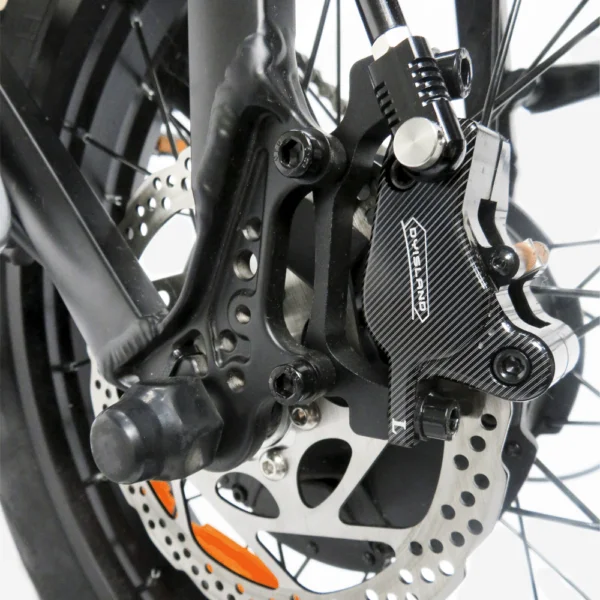 EE2 - SPORT - Image 5