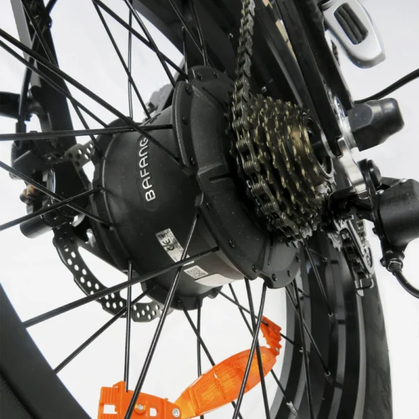 EE2 - SPORT - Image 3